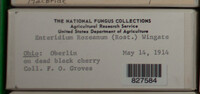 Image Associated With the Occurence